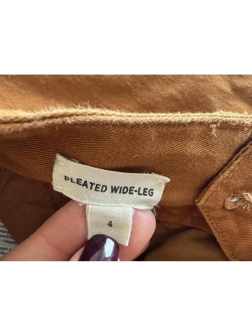 Madewell Wide Leg Pleated Pants Burnt Orange Size 4